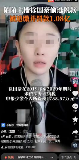 处罚之外更需法律反思 从徐国豪逃税案看税收监管的漏洞